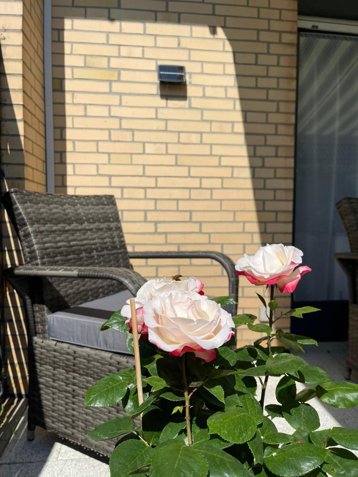 Ferienwohnung Strandoase Inklusive Terrasse Und Parkplatz - Sonnenseite Scharbeutz Exterior foto